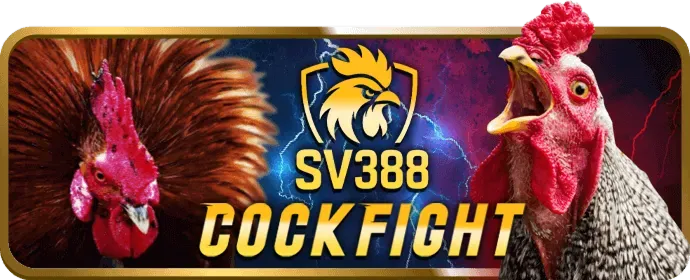 Cookie chức năng cá nhân hóa 13wim